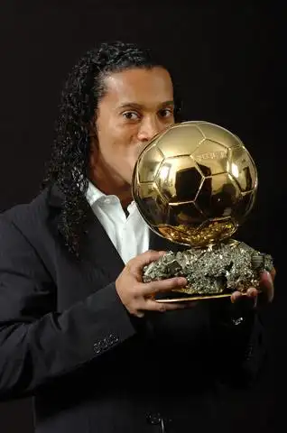 委会已经专 委会已经专